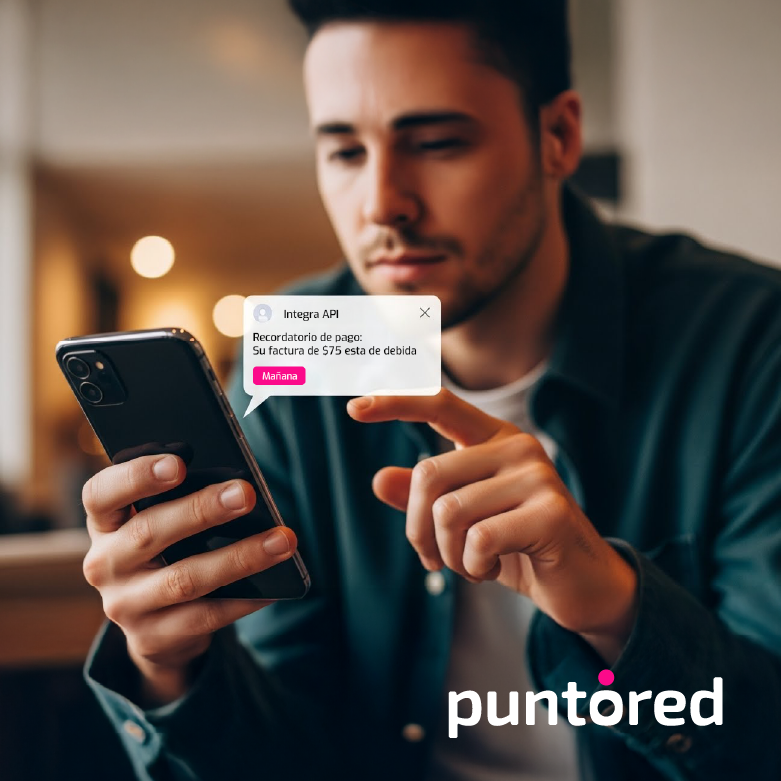 Visualización de la API Puntored para integración de pagos digitales con seguridad en transacciones y fomento de inclusión financiera